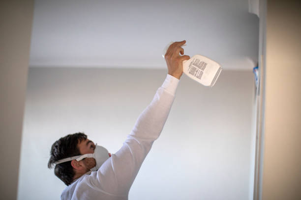 Professional Mold Removal in Forest Hills, PA