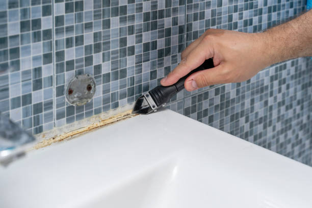 Best Residential Mold Removal  in Forest Hills, PA